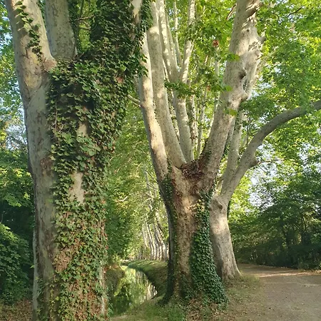 Villa De L Ode Mirepeisset