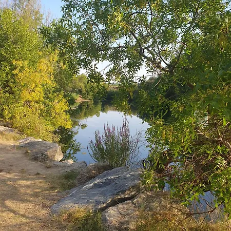 De L Ode * Mirepeisset